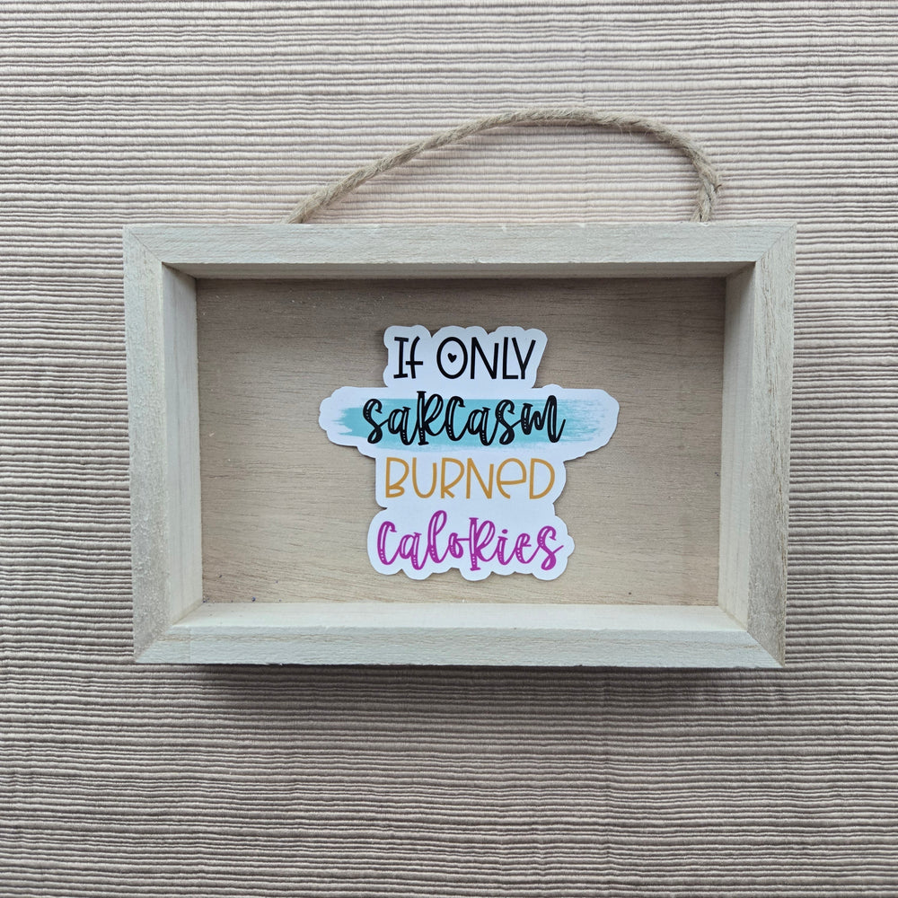 Sarcastic Funny Quote Stickers (ONLINE ORDER ONLY)
