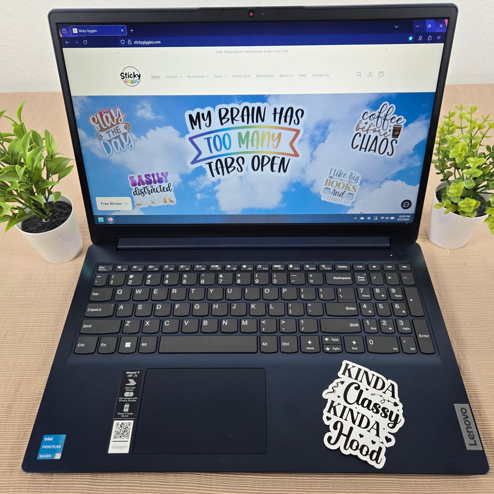 Funny Sarcastic Series 3 Stickers (ONLINE ORDER ONLY)