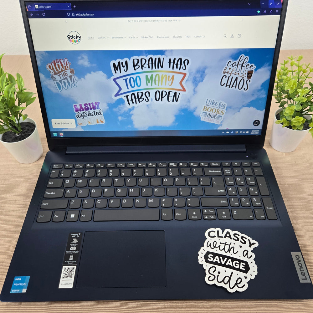 Funny Sarcastic Series 3 Stickers (ONLINE ORDER ONLY)