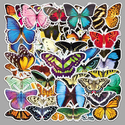 10/50Pcs Natural Creature Colorful Butterfly Stickers for Kids Toy Insect Stickers Suitcase Refrigerator Luggage Phone Case (ONLINE ORDER ONLY)