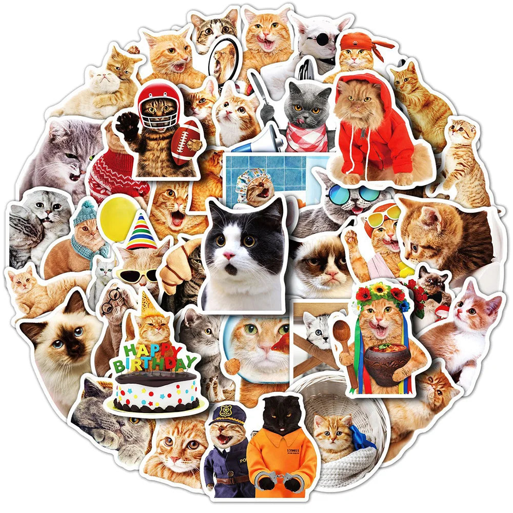 Funny Cat Animal Stickers Pack - Laptop, Luggage, Snowboard, DIY Decals (ONLINE ORDER ONLY)