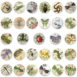 10/30/58PCS Retro Insects Stickers Graffiti Specimen DIY Album Skateboard Luggage Phone Planner Cartoon Decals Waterproof Toys (ONLINE ORDER ONLY)
