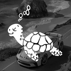 Cute Sea Turtle Stickers，Transform Your Car with this cute&funny Stickers,Perfect for Automobiles, Motorcycles, Trucks & Laptops (ONLINE ORDER ONLY)