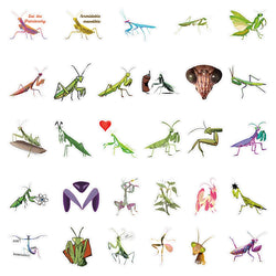 10/30/50PCS Mantis Cartoon Stickers Cool Insect Sticker Aniaml DIY Decoration Kids Toys Luggage Laptop Phone Guitar Bike Decals (ONLINE ORDER ONLY)