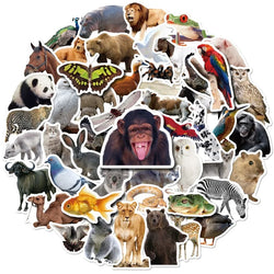Zoo Jungle Animal Stickers for Wall Decor, Classroom, Luggage, Helmet (Online Order Only)