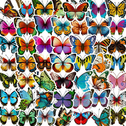 Cartoon Butterfly Stickers for DIY Scrapbook, Water Bottle, Phone, Laptop, Guitar Decal (10/25/50pcs) (Online Order Only)