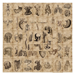 10/30/56pcs Anatomy and Physiology The Body Structure Stickers PVC Waterproof Toy Graffiti Skeleton Stickers For Luggage Decals (Online Order Only)