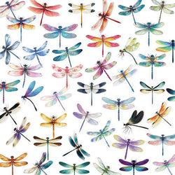 10/30/50PCS Dragonfly Stickers Cartoon Transparent Sticker Funny Insect DIY Toy Fridge Luggage Laptop Phone Guitar Bike Decals (ONLINE ORDER ONLY)