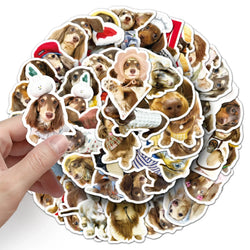 10/30/50PCS Dachshund Dog Stickers Cute Dog Decoration DIY Animal Sticker Luggage Laptop Phone Guitar Car Bike Decals Kids Toys (ONLINE ORDER ONLY)