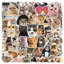 Cute Cat Meme Stickers Pack - Funny Animal Decals for Laptop, Phone, Notebook, Kids Toys (Online Order Only)