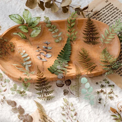 Natural plant collection Green Leaf Decorative PVC Stickers Scrapbooking Label Diary Stationery Album Phone Cup Journal Planner (Online Order Only)