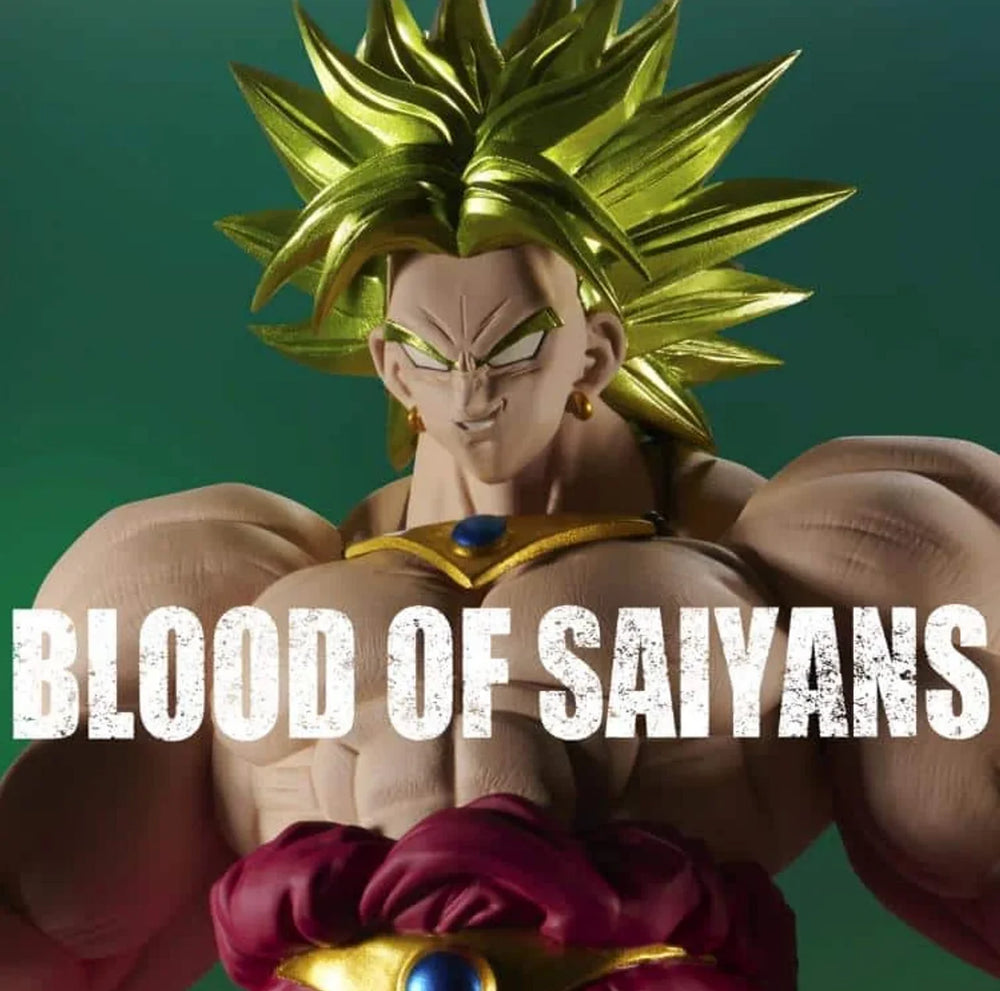 Dragon Ball Z Blood of Saiyans Super Saiyan Broly Figure (ONLINE ORDER ONLY)