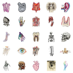 10/30/50PCS Kawaii Creative Brain PVC Sticker Aesthetic Children's Stationery DIY Decoration Scrapbooking School Supplies (ONLINE ORDER ONLY)