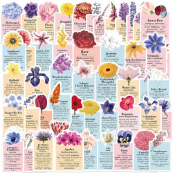 50pcs Ins Style Flower Language Stickers For Skateboard Notebook Laptop Phone Bike Wall Sticker Toys Aesthetic DIY Decoration (ONLINE ORDER ONLY)