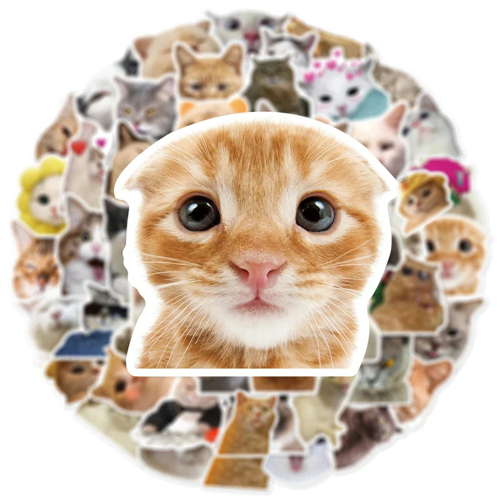 10/30/50pcs Cute Funny Meme Animal Cat Kitty Stickers Decals Kids Toy Laptop Suitcase Notebook Motorcycle Car Decoration Sticker (Online Order Only)