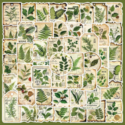50pcs Botanical Garden Graffiti Stickers for Helmet, Wall, Desktop Decoration (Online Order Only)