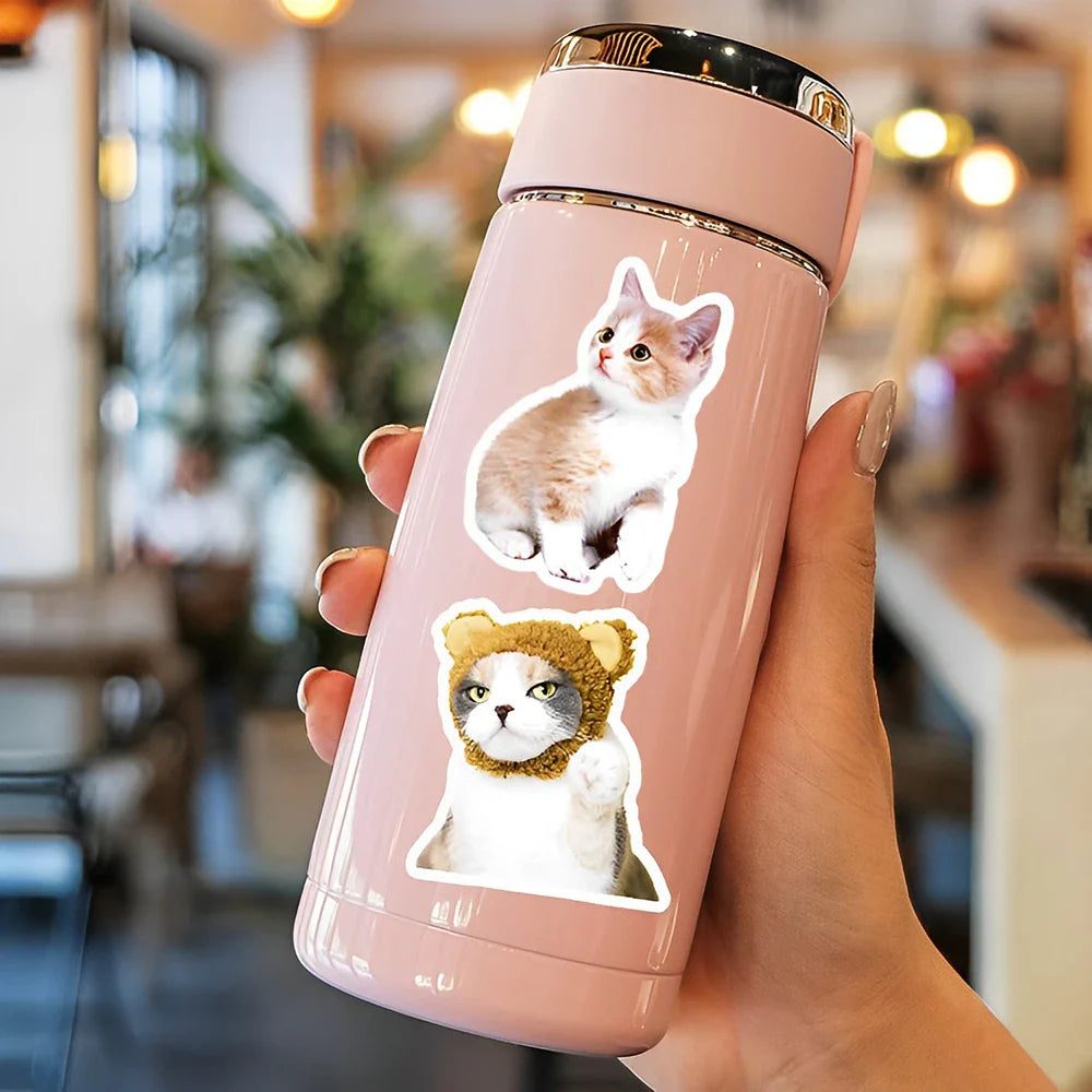 10/30/50PCS Cute Cat Cartoon Stickers Toys Graffiti Decoration Kids DIY Phone Notebook Laptop Fridge Car Funny Decals Waterproof (Online Order Only)
