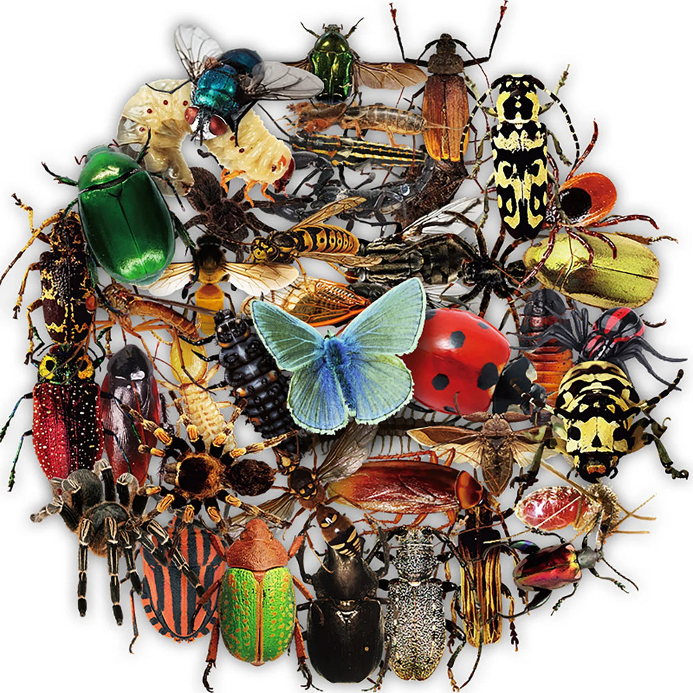 Mixed Insect Stickers: Cartoon Graffiti DIY Scrapbook Laptop Guitar Bike Skateboard Decals (ONLINE ORDER ONLY)