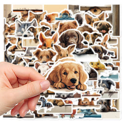 10/30/60pcs Funny Meme Cute Animal Dog Cat Stickers Decals Kids Toy Laptop Phone Water Bottle Suitcase Guitar Decoration Sticker (ONLINE ORDER ONLY)