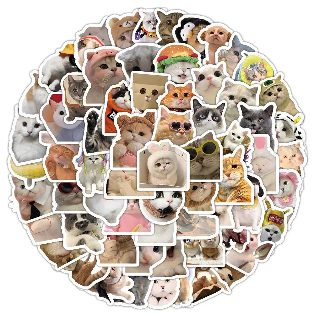 10/50/100pcs Cute Cat Meme Graffiti Stickers Cartoon Decals Laptop Phone Suitcase Fridge Decoration Sticker Kids Classics Toy (Online Order Only)