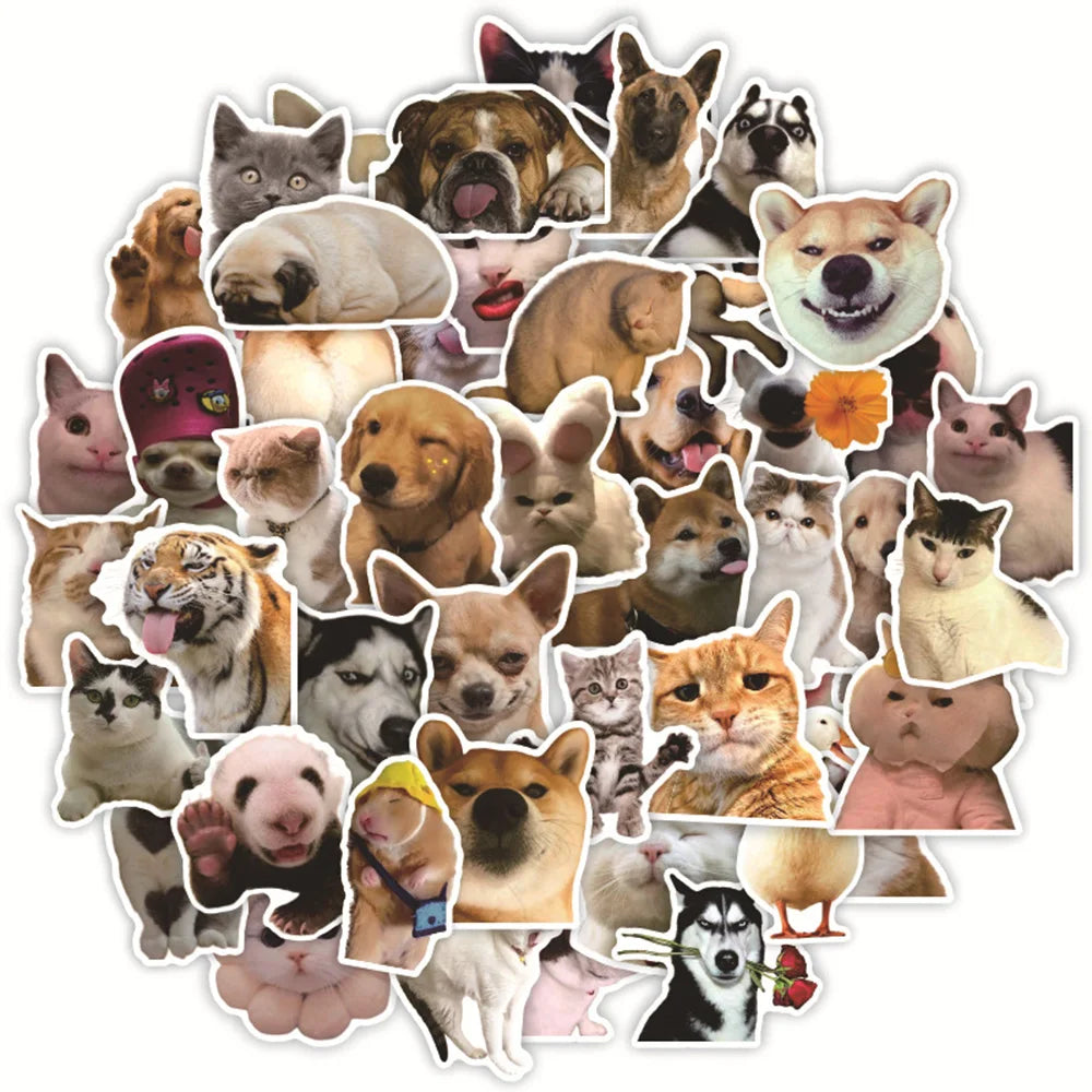 Funny Animal Cat Dog Meme Stickers Decal Pack - Waterproof for Skateboard, Laptop, Phone, Car, Motorcycle (Online Order Only)