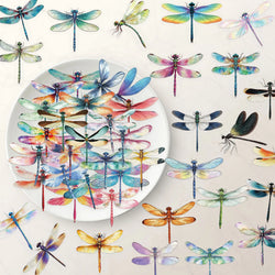 10/30/50PCS Dragonfly Stickers Cartoon Transparent Sticker Funny Insect DIY Toy Fridge Luggage Laptop Phone Guitar Bike Decals (ONLINE ORDER ONLY)