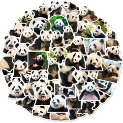 10/30/50PCS Cute Panda Life PVC Sticker Aesthetic Decoration Scrapbooking Korean Stationery Hand Accounting School Supplies (ONLINE ORDER ONLY)