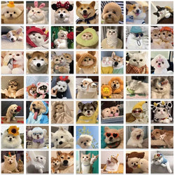 10/30/50/100PCS Happy Dog Cat PVC Sticker Aesthetic Children's Korean Stationery School Supplies DIY Decoration Scrapbooking (Online Order Only)