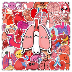 10/50Pcs Cartoon Human Organs Graffiti Stickers Decoration Phone Case Suitcase Luggage Case Sticker Waterproof for Kids Toys (ONLINE ORDER ONLY)
