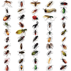 50/100Pcs Colorful Cartoon Insects Spider Butterfly for Kids Gifts Luggage Laptop Skateboard Sticker Waterproof Wholesale (ONLINE ORDER ONLY)