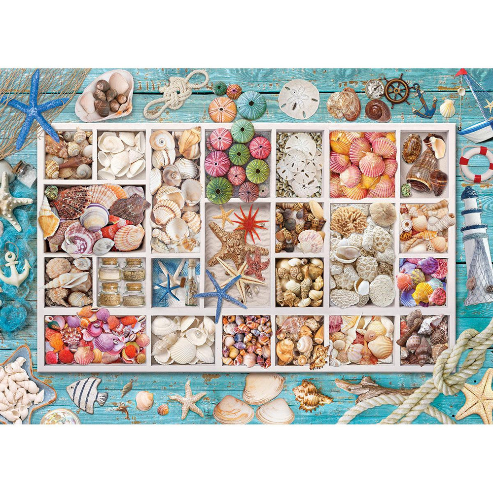 Seashell Collection 1000 Piece Jigsaw Puzzle Eurographics (ONLINE ORDER ONLY)