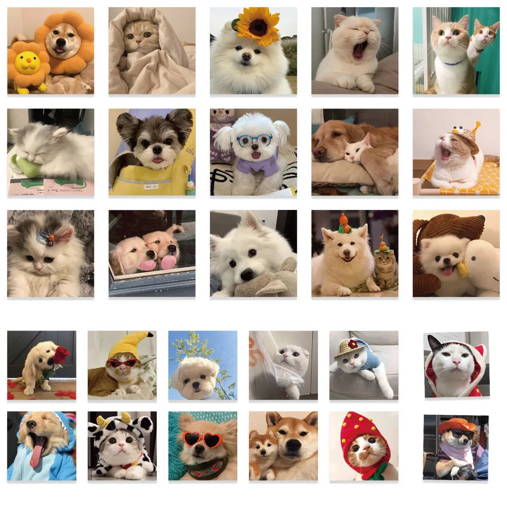 10/30/53PCS Cute Cats Dog Funny Stickers Cartoon Animals Graffiti Toys DIY Notebook Luggage Skateboard Guitar Kids Sticker Decal (ONLINE ORDER ONLY)