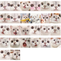 10/30/56PCS Cute Meme Cat Stickers Kawaii Animal Decals Funny Cartoon Kids Toy DIY Notebook Fridge Guitar Bike Car Suitcase Toys (ONLINE ORDER ONLY)