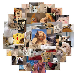 10/30/48PCS Cute Cat Dog Daily Sticker Aesthetic PVC Children's Decoration Korean Stationery Scrapbooking School Supplies (ONLINE ORDER ONLY)