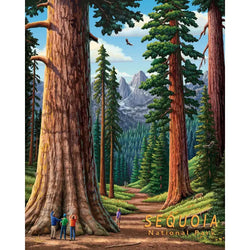 Sequoia National Park 210 Piece Jigsaw Puzzle Boardwalk (ONLINE ORDER ONLY)