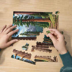 Sequoia National Park 210 Piece Jigsaw Puzzle Boardwalk (ONLINE ORDER ONLY)