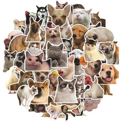 10/30/50pcs Mix Animal Cat Meme Graffiti Stickers Toy Scrapbook Notebook Stationary Guitar Waterproof Funny Sticker Decals (ONLINE ORDER ONLY)