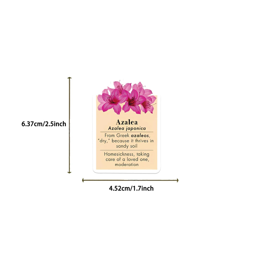 50pcs Ins Style Flower Language Stickers For Skateboard Notebook Laptop Phone Bike Wall Sticker Toys Aesthetic DIY Decoration (ONLINE ORDER ONLY)