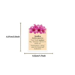 50pcs Ins Style Flower Language Stickers For Skateboard Notebook Laptop Phone Bike Wall Sticker Toys Aesthetic DIY Decoration (ONLINE ORDER ONLY)