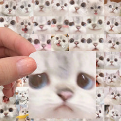 10/30/56PCS Cute Meme Cat Stickers Kawaii Animal Decals Funny Cartoon Kids Toy DIY Notebook Fridge Guitar Bike Car Suitcase Toys (ONLINE ORDER ONLY)