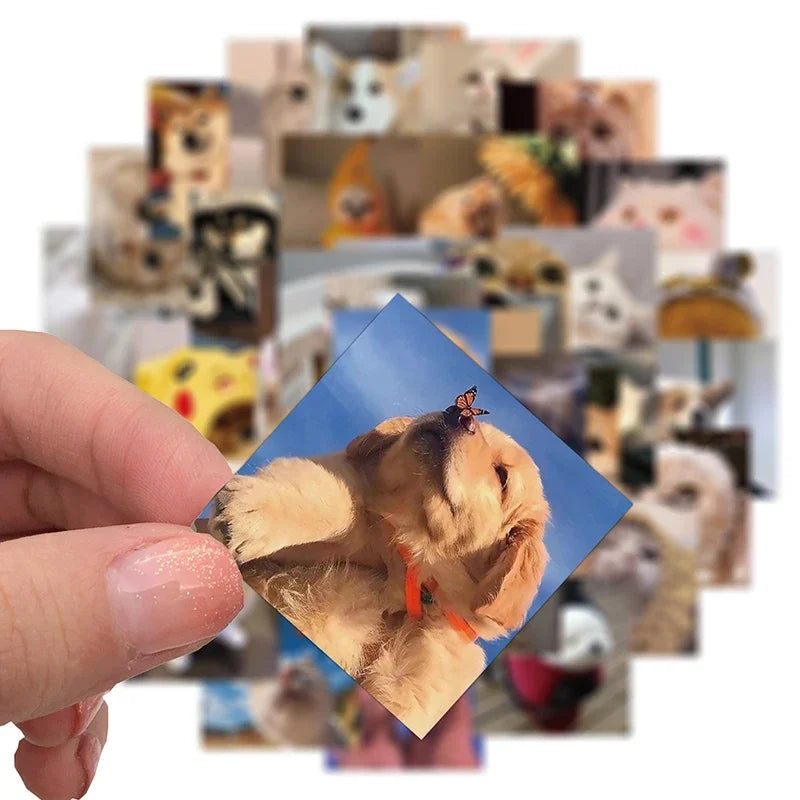 10/30/48PCS Cute Cat Dog Daily Sticker Aesthetic PVC Children's Decoration Korean Stationery Scrapbooking School Supplies (ONLINE ORDER ONLY)