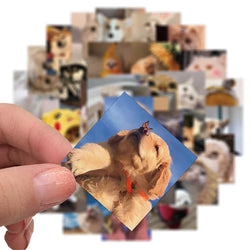 10/30/48PCS Cute Cat Dog Daily Sticker Aesthetic PVC Children's Decoration Korean Stationery Scrapbooking School Supplies (ONLINE ORDER ONLY)