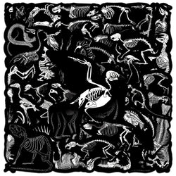 10/50pcs Cute Dark Animals Skeleton Skull Stickers for Laptop Water Bottle Luggage Notebook Waterproof Graffiti Vinyl Decals Toy (ONLINE ORDER ONLY)