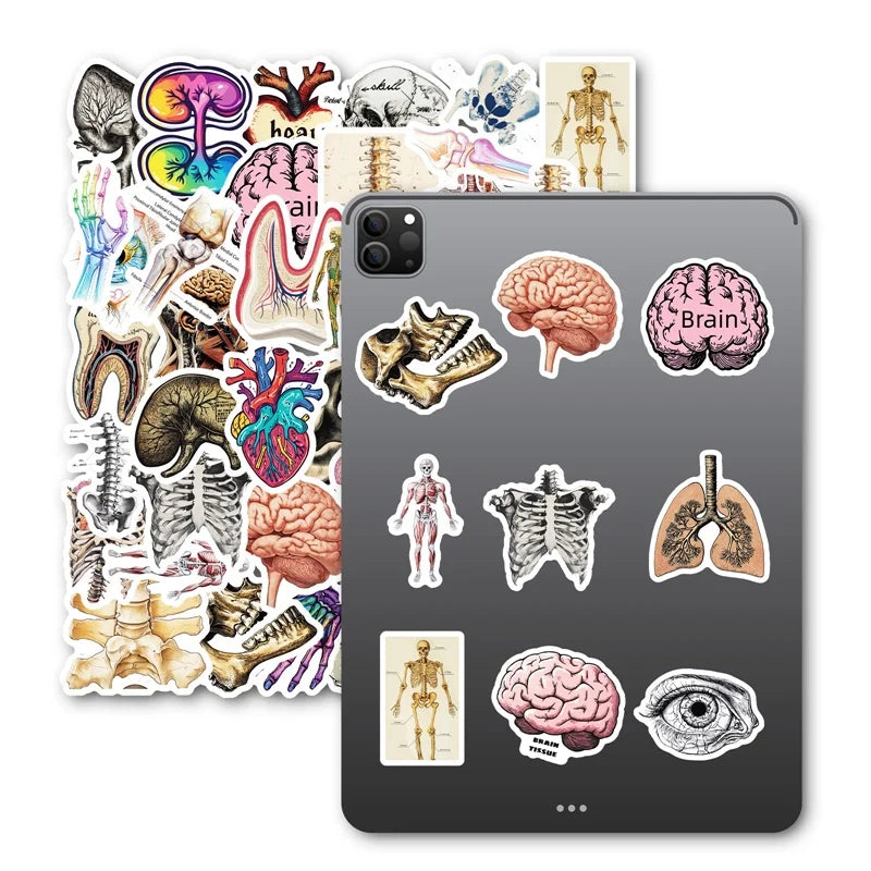 10/30/50PCS Kawaii Creative Brain PVC Sticker Aesthetic Children's Stationery DIY Decoration Scrapbooking School Supplies (ONLINE ORDER ONLY)