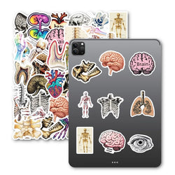 10/30/50PCS Kawaii Creative Brain PVC Sticker Aesthetic Children's Stationery DIY Decoration Scrapbooking School Supplies (ONLINE ORDER ONLY)