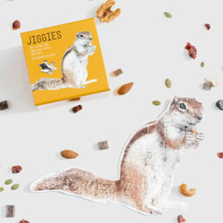 Squirrel 24 Piece Mini Jigsaw Puzzle Gibbs Smith (ONLINE ORDER ONLY)
