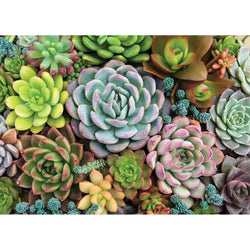 Succulent Garden 1000 Piece Jigsaw Puzzle Peter Pauper (ONLINE ORDER ONLY)