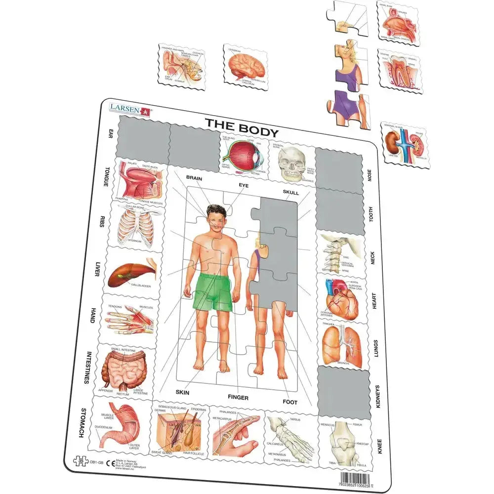 The Body 35 Piece Tray Jigsaw Puzzle Larsen (ONLINE ORDER ONLY)