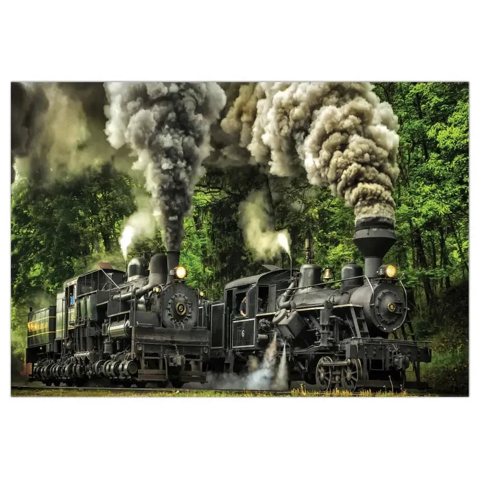 The Great Race 1000 Piece Soft Touch Jigsaw Puzzle Crown Point (ONLINE ORDER ONLY)
