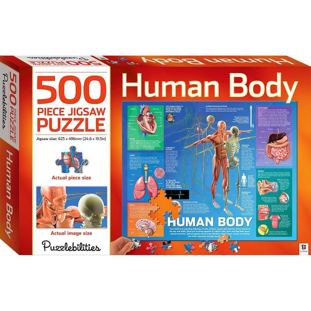 The Human Body 500 Piece Jigsaw Puzzle Hinkler (ONLINE ORDER ONLY)